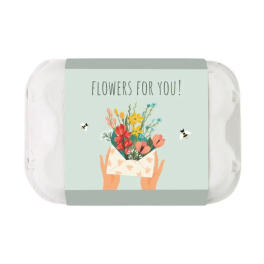 Carton | Wildflower Seed Balls