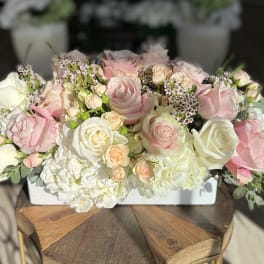 Pink and white roses arranged in a low white container
