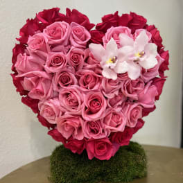 Heart-shaped arrangement of pink and red roses with white orchids on a moss base