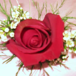 Red rose with small white filler flowers and wispy greenery