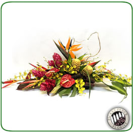 Low tropical arrangement with orange bird-of-paradise and red blooms
