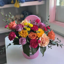 Amy