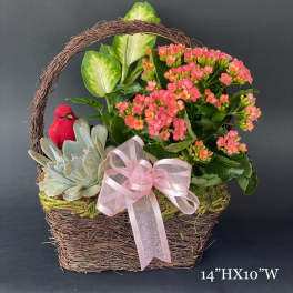 Basket arrangement with pink flowers, succulents, and a pink ribbon bow