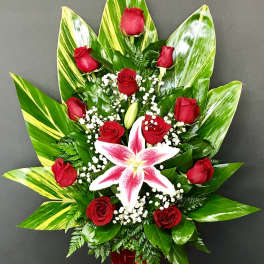 Kindle Of Roses