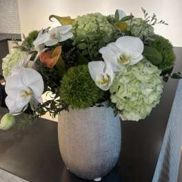 White orchids and pale green hydrangeas in a silver vase