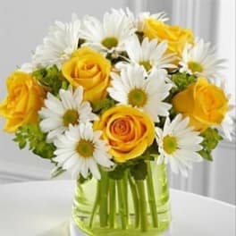 daisy sunshine by Joni