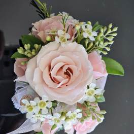 Light pink spray rose corsage