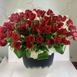 100 Long stem roses - Beverly Hills