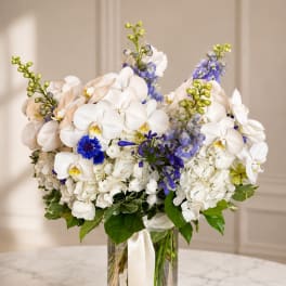 White orchids and blue flowers arranged in a clear glass vase with ribbon