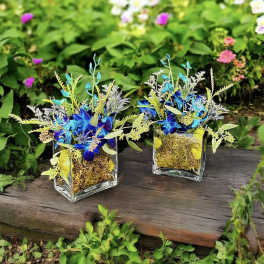 Two blue floral arrangements in square glass vases on a wooden bench