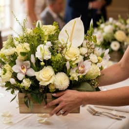 Box of whites
