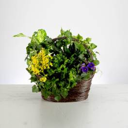 Thinking of You by BloomNation™