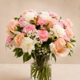 Pink Cloud Roses