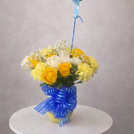 Baby Sunshine & Blue