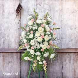 Mix white & Pink