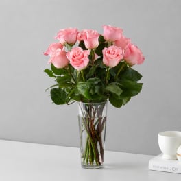 Pink Roses