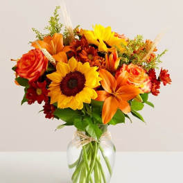 Fields of Europe® Fall