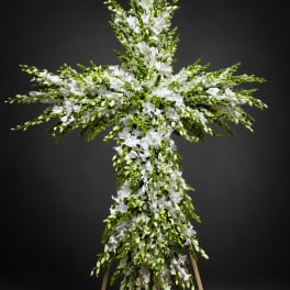 Orchid Cross