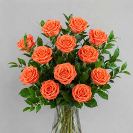 Orange Roses