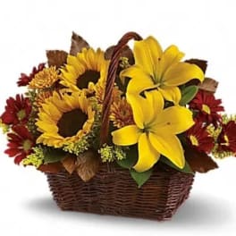 Basket arrangement with sunflowers, yellow lilies, and red daisies
