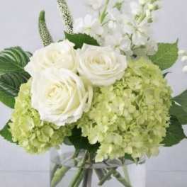 White roses and pale green hydrangeas in a clear glass vase