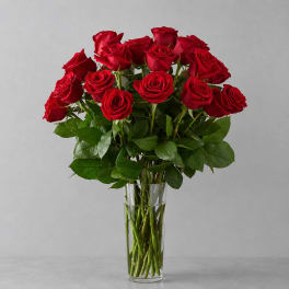 Two Dozen Long Stem Red Roses