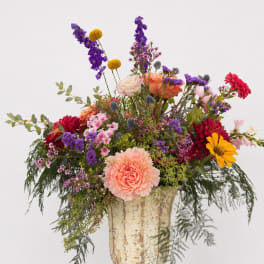 Sprig Brights Designers Choice