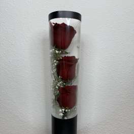 Three red roses in a tall clear cylinder with white filler flowers