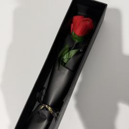 Single red rose in a black gift box