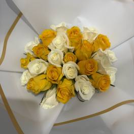 YELLOW AND WHITE