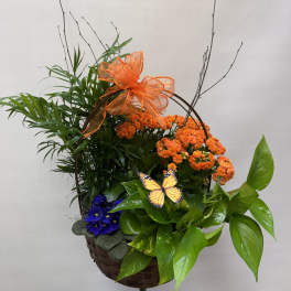 Blooming Garden
