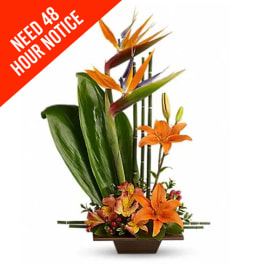 Tropical flower arrangement with orange birds of paradise and lilies in a low vase