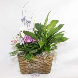 Pink roses and lilies in a wicker basket with greenery and butterfly picks