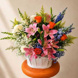 Spring Radiance