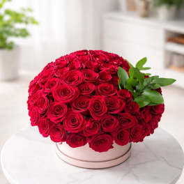 Red Velvet Luxe