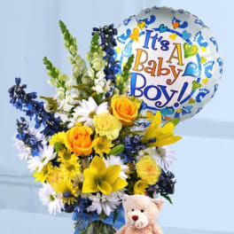 Baby Boy Surprise