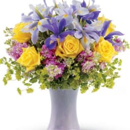 Lavender Sunshine