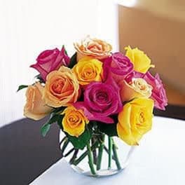 Springtime Roses