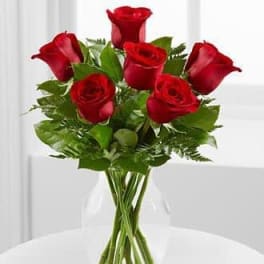 Half Dozen Elegance – 6 Red Roses (any color)