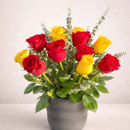 Sun & Love Roses