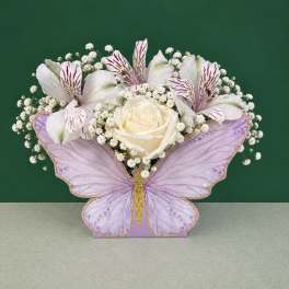 Butterfly Bloom Box