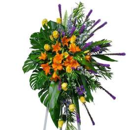 Birds of Solace Grand Sympathy Spray