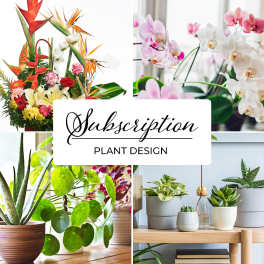 Subscription Plants