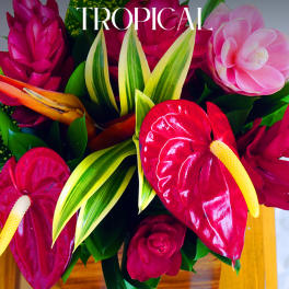 Tropical Floral