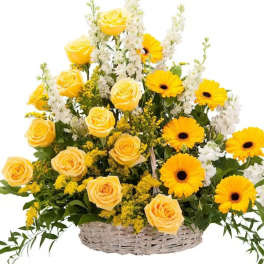 RAY OF SUNSHINE BASKET TRIBUTE