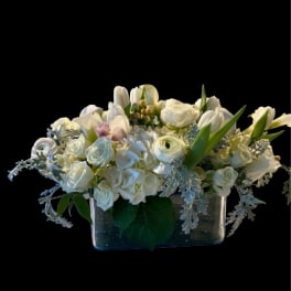 SOFT AND WHITE