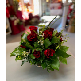Modern rose