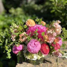 Peonies Please!