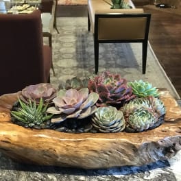 Perfect Gift