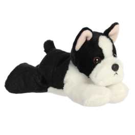 Eva Boston Terrier
